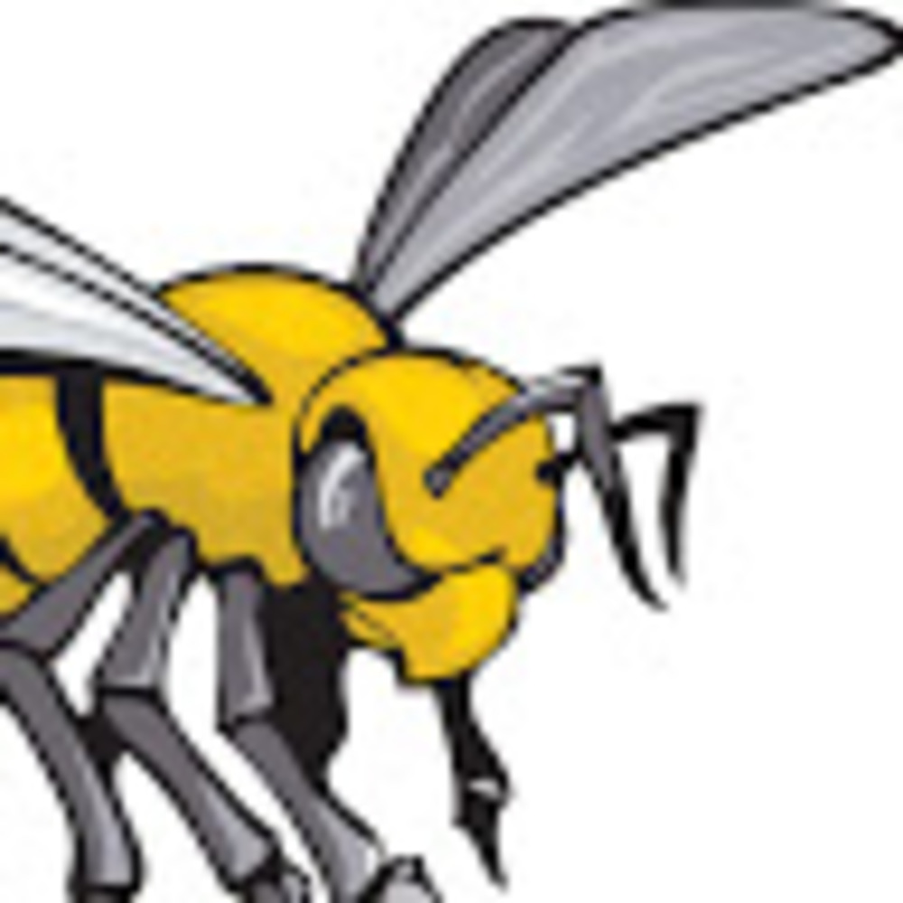 Meet your Posher, Thebee